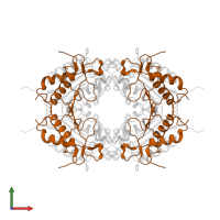 Caspase-3 subunit p12 in PDB entry 2cdr, assembly 1, front view.