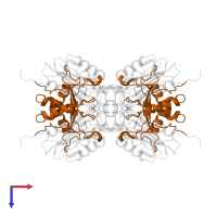 Caspase-3 subunit p12 in PDB entry 2cdr, assembly 1, top view.