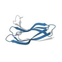 The deposited structure of PDB entry 2ce6 contains 1 copy of Pfam domain PF09458 (H-type lectin domain) in H-type lectin domain-containing protein. Showing 1 copy in chain A.