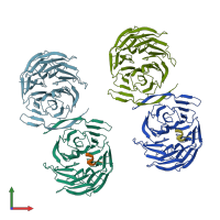 PDB entry 2ce8 coloured by chain, front view.