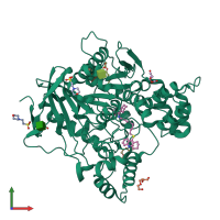 PDB entry 2cek coloured by chain, front view.