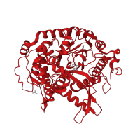 The deposited structure of PDB entry 2ceq contains 2 copies of CATH domain 3.20.20.80 (TIM Barrel) in Beta-galactosidase. Showing 1 copy in chain A.