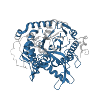 The deposited structure of PDB entry 2ceq contains 2 copies of Pfam domain PF00232 (Glycosyl hydrolase family 1) in Beta-galactosidase. Showing 1 copy in chain A.