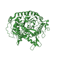 The deposited structure of PDB entry 2ceq contains 2 copies of SCOP domain 51521 (Family 1 of glycosyl hydrolase) in Beta-galactosidase. Showing 1 copy in chain A.