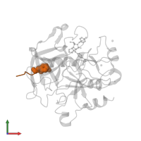 Hirudin-3A' in PDB entry 2cf8, assembly 1, front view.