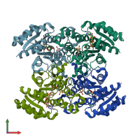 PDB entry 2cfc coloured by chain, front view.