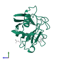 Peptidyl-prolyl cis-trans isomerase in PDB entry 2cfe, assembly 1, side view.