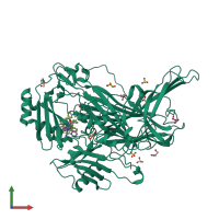 PDB entry 2cfk coloured by chain, front view.
