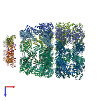 PDB entry 2cgt coloured by chain, top view.