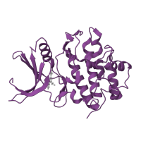 The deposited structure of PDB entry 2cgw contains 1 copy of SCOP domain 88854 (Protein kinases, catalytic subunit) in Serine/threonine-protein kinase Chk1. Showing 1 copy in chain A.