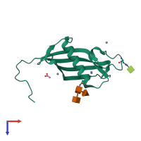 PDB entry 2ch9 coloured by chain, top view.