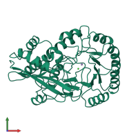 PDB entry 2chr coloured by chain, front view.