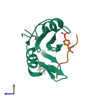 PDB entry 2cia coloured by chain, side view.