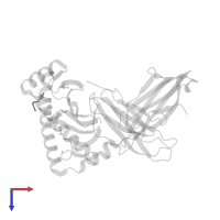 Nucleoprotein in PDB entry 2cii, assembly 1, top view.