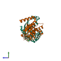 PDB entry 2cjw coloured by chain, side view.