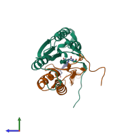 PDB entry 2cjy coloured by chain, side view.
