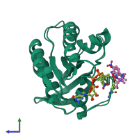 PDB entry 2cl6 coloured by chain, ensemble of 2 models, side view.