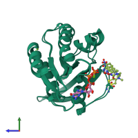 PDB entry 2cl7 coloured by chain, ensemble of 2 models, side view.