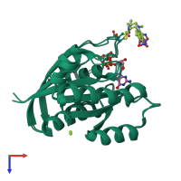 PDB entry 2cl7 coloured by chain, ensemble of 2 models, top view.