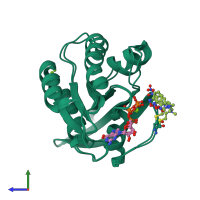 PDB entry 2clc coloured by chain, ensemble of 2 models, side view.