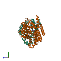 PDB entry 2cle coloured by chain, side view.