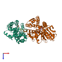 PDB entry 2cle coloured by chain, top view.