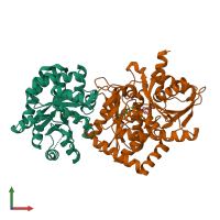 PDB entry 2clf coloured by chain, front view.