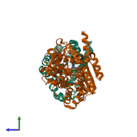 PDB entry 2clf coloured by chain, side view.