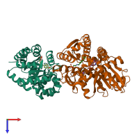 PDB entry 2clf coloured by chain, top view.