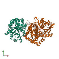 PDB entry 2clk coloured by chain, front view.