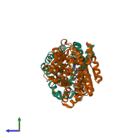 PDB entry 2clk coloured by chain, side view.