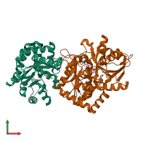 PDB entry 2clm coloured by chain, front view.