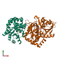 PDB entry 2clo coloured by chain, front view.