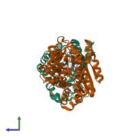 PDB entry 2clo coloured by chain, side view.