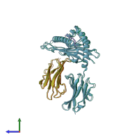 PDB entry 2clz coloured by chain, side view.
