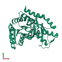 PDB entry 2cmd coloured by chain, front view.