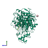 PDB entry 2cmf coloured by chain, side view.