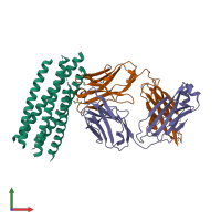 PDB entry 2cmr coloured by chain, front view.
