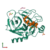 PDB entry 2cmy coloured by chain, front view.