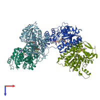 PDB entry 2cnb coloured by chain, top view.