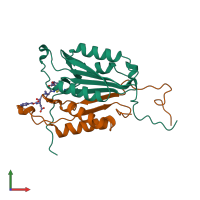 PDB entry 2cnk coloured by chain, front view.