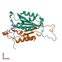 PDB entry 2cnn coloured by chain, front view.