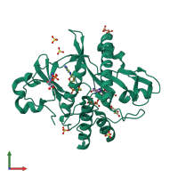 PDB entry 2cnq coloured by chain, front view.