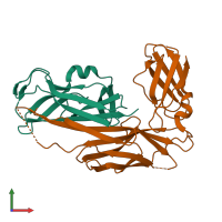 PDB entry 2co6 coloured by chain, front view.