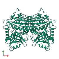 Branched-chain-amino-acid aminotransferase, cytosolic in PDB entry 2cog, assembly 1, front view.