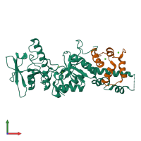 PDB entry 2col coloured by chain, front view.