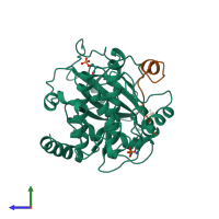 PDB entry 2cpk coloured by chain, side view.