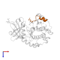 cAMP-dependent protein kinase inhibitor alpha in PDB entry 2cpk, assembly 1, top view.