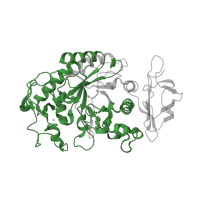 The deposited structure of PDB entry 2cpu contains 1 copy of Pfam domain PF00128 (Alpha amylase, catalytic domain) in Pancreatic alpha-amylase. Showing 1 copy in chain A.