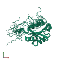 PDB entry 2cpy coloured by chain, ensemble of 20 models, front view.